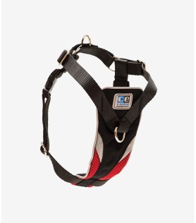 Voluptates Repudiandae