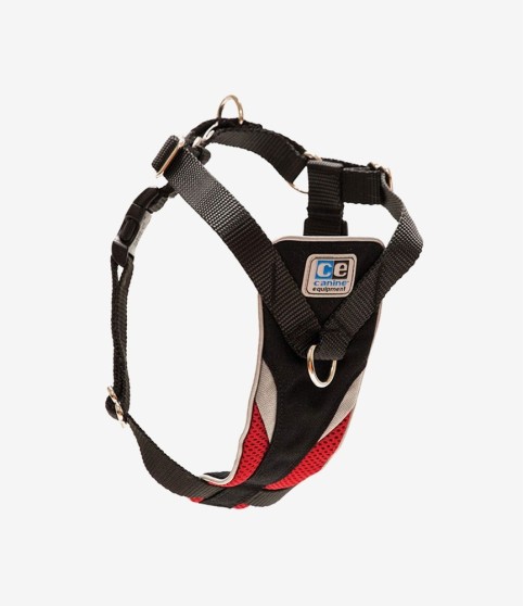 Occasion Praesentium Occasion Praesentium