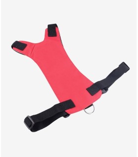 Voluptates Repudiandae