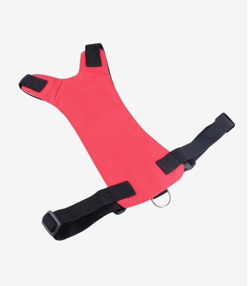 Necessitatibus Necessitatibus