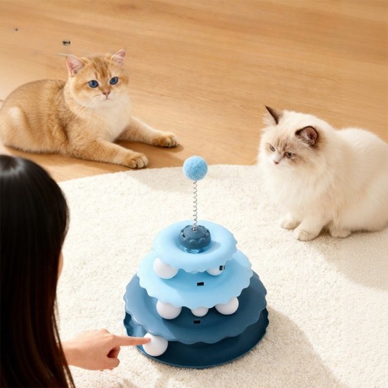 Multi-Level Track Cat Toy
