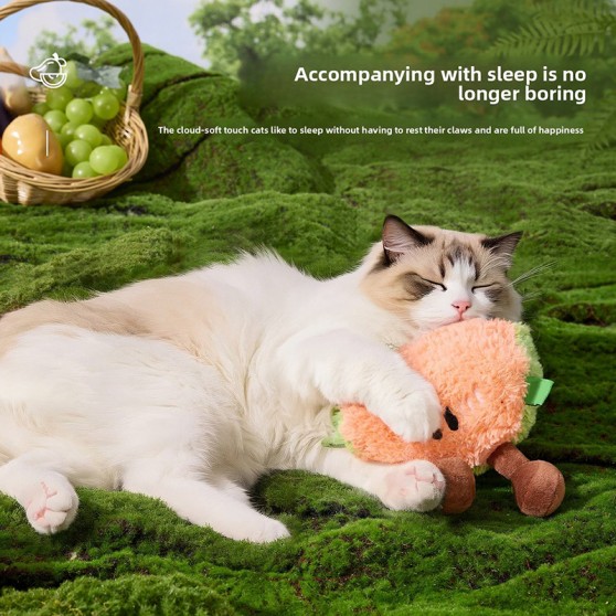 Watermelon Fruit Series Squeaky Toys
