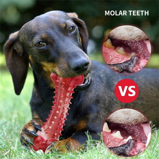 Durable Rubber Dog Bone Chew Toy Durable Rubber Dog Bone Chew Toy