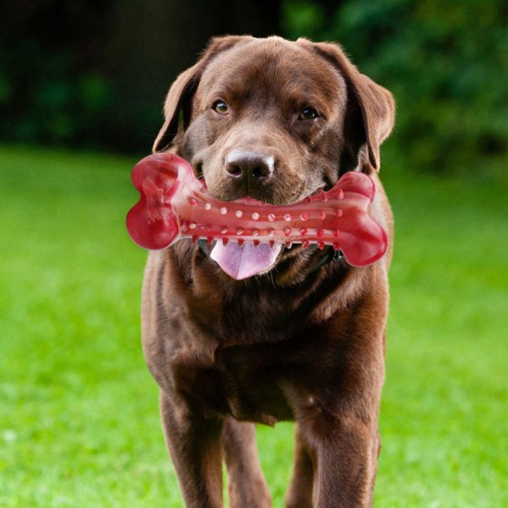 Durable Rubber Dog Bone Chew Toy