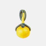 Interactive Natural Rubber Toy Ball
