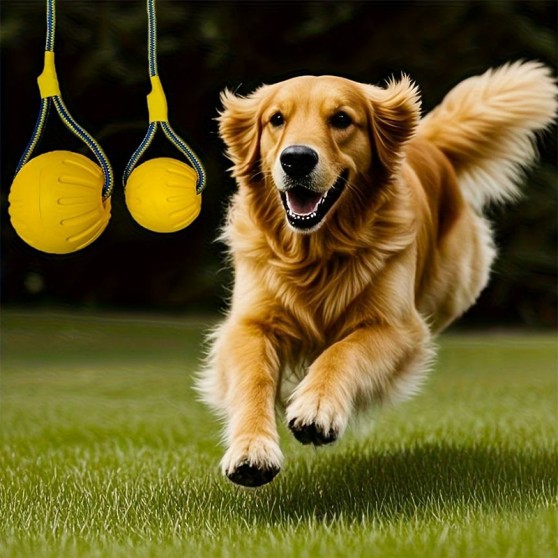 Interactive Natural Rubber Toy Ball Interactive Natural Rubber Toy Ball
