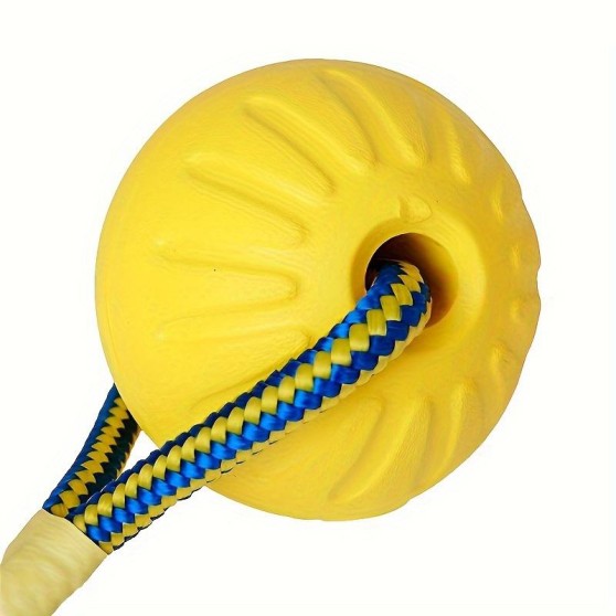 Interactive Natural Rubber Toy Ball Interactive Natural Rubber Toy Ball
