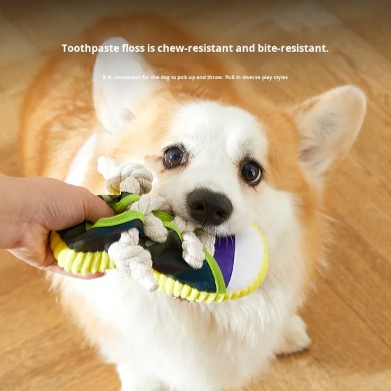 Eco-Friendly Cotton Squeaky Pet Slipper Toy