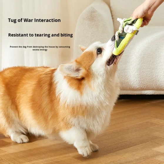 Eco-Friendly Cotton Squeaky Pet Slipper Toy
