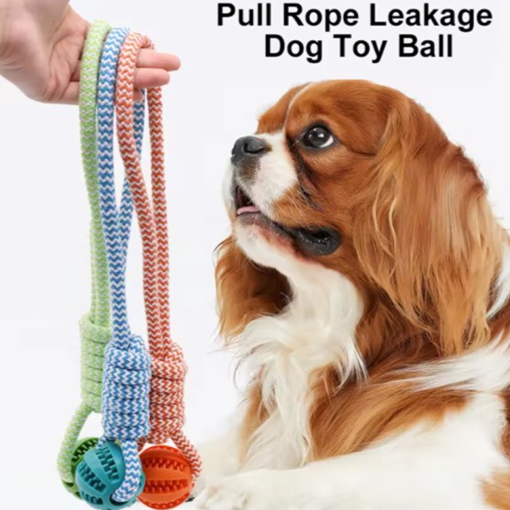 Bite-Resistant Nylon & Cotton Rope Toy