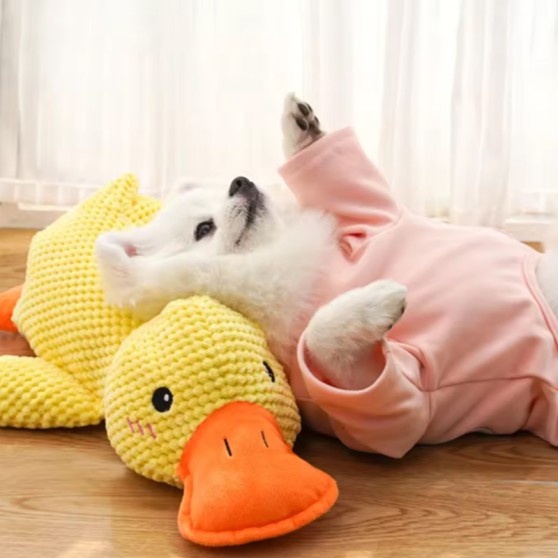 Duck-Shaped Cartoon Squeaky Dog Toy Duck-Shaped Cartoon Squeaky Dog Toy