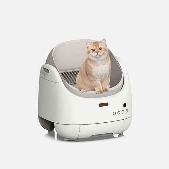 Odor-Free Safe Litter Box for Multi-Cat Households
