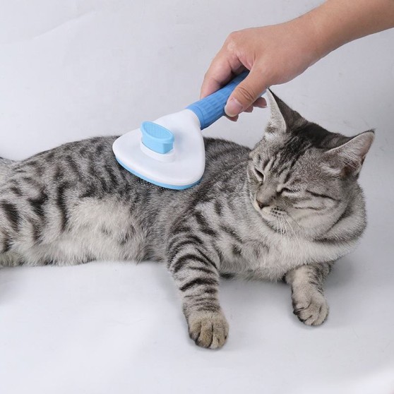 Minimalist Button-Release Pet Grooming Brush