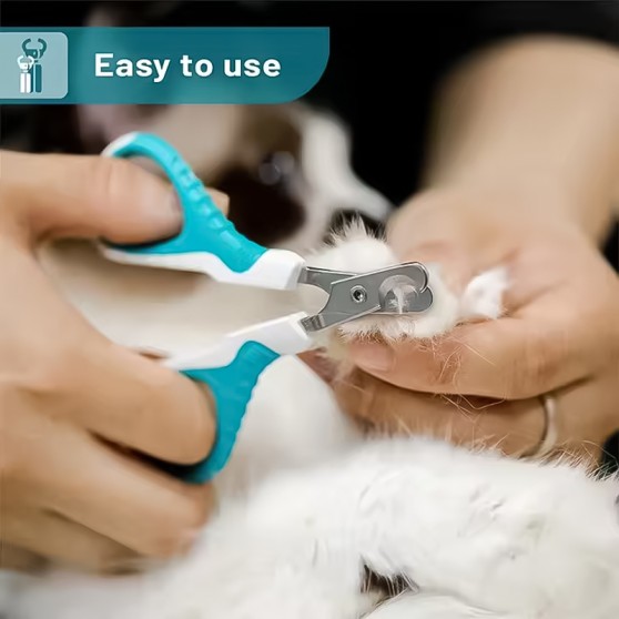 Stainless Steel Round-Edged Fingernail Clippers Stainless Steel Round-Edged Fingernail Clippers