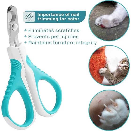 Stainless Steel Round-Edged Fingernail Clippers Stainless Steel Round-Edged Fingernail Clippers