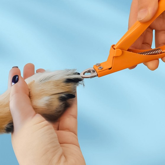 Metal Wide-Jaw Nail Clippers