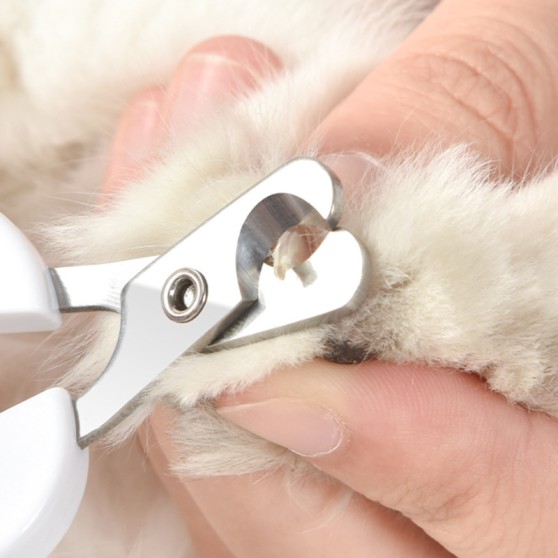 Nail Clippers for Small Pets Nail Clippers for Small Pets