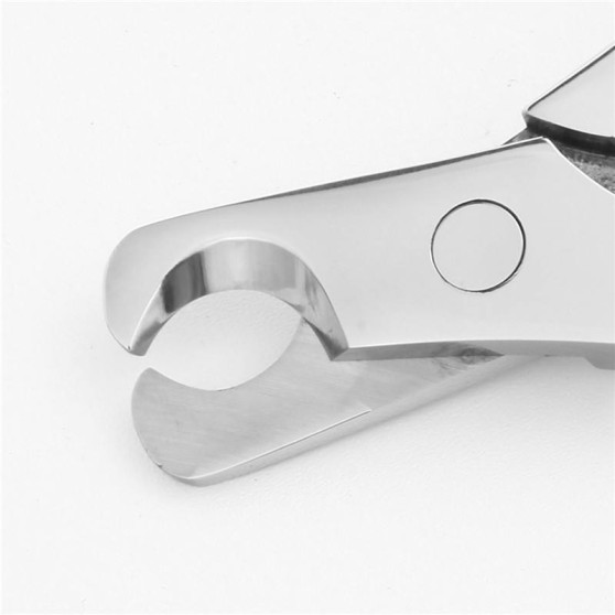 Corrosion-Resistant One-Piece Stainless Steel Nail Clippers