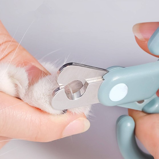 Solid-Color Pet Nail Clippers Solid-Color Pet Nail Clippers